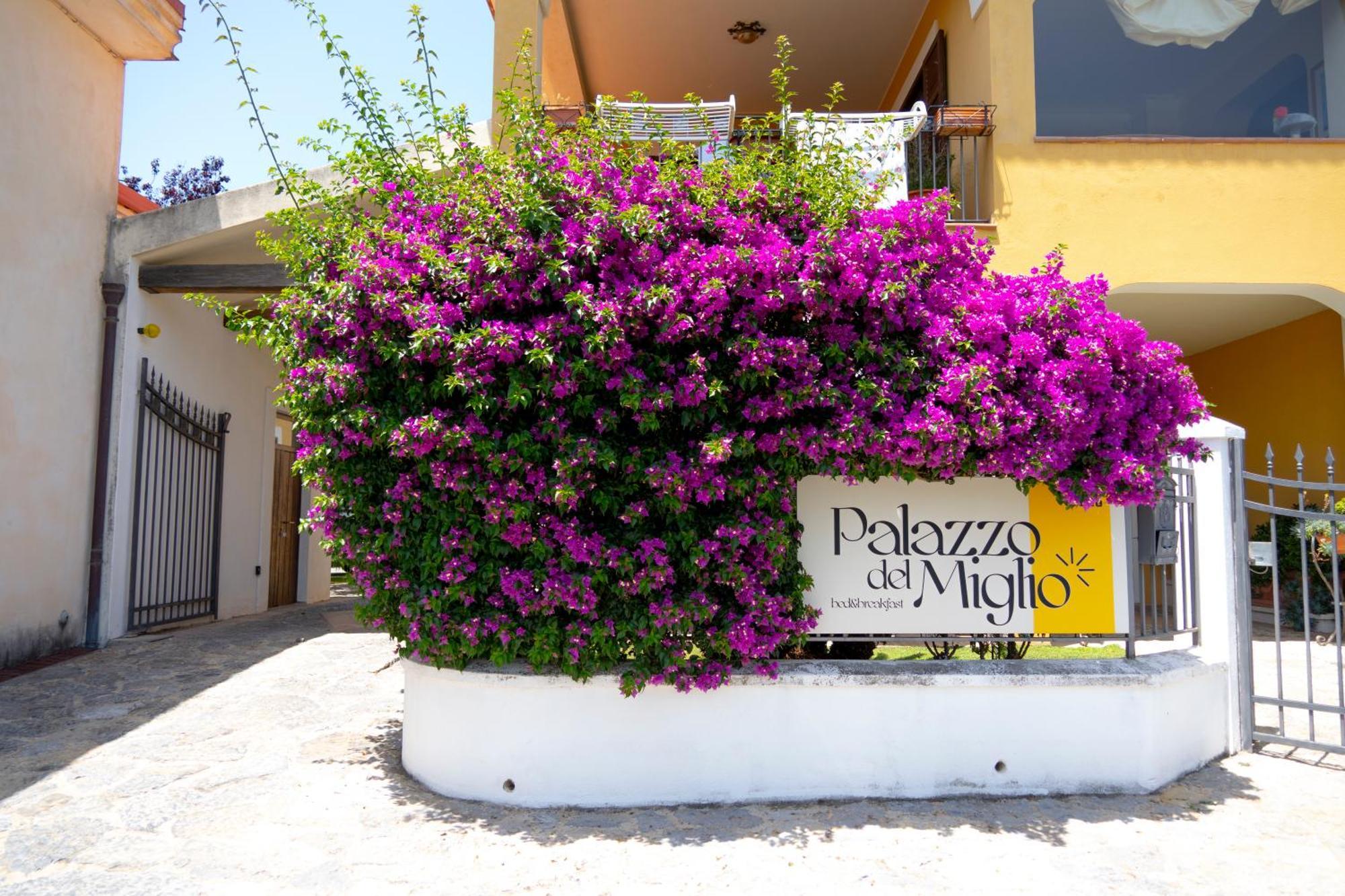 Palazzo Del Miglio Bed & Breakfast Belvedere Marittimo Ngoại thất bức ảnh